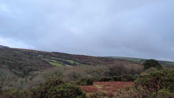 View of Ringmore and Wigford Downs
